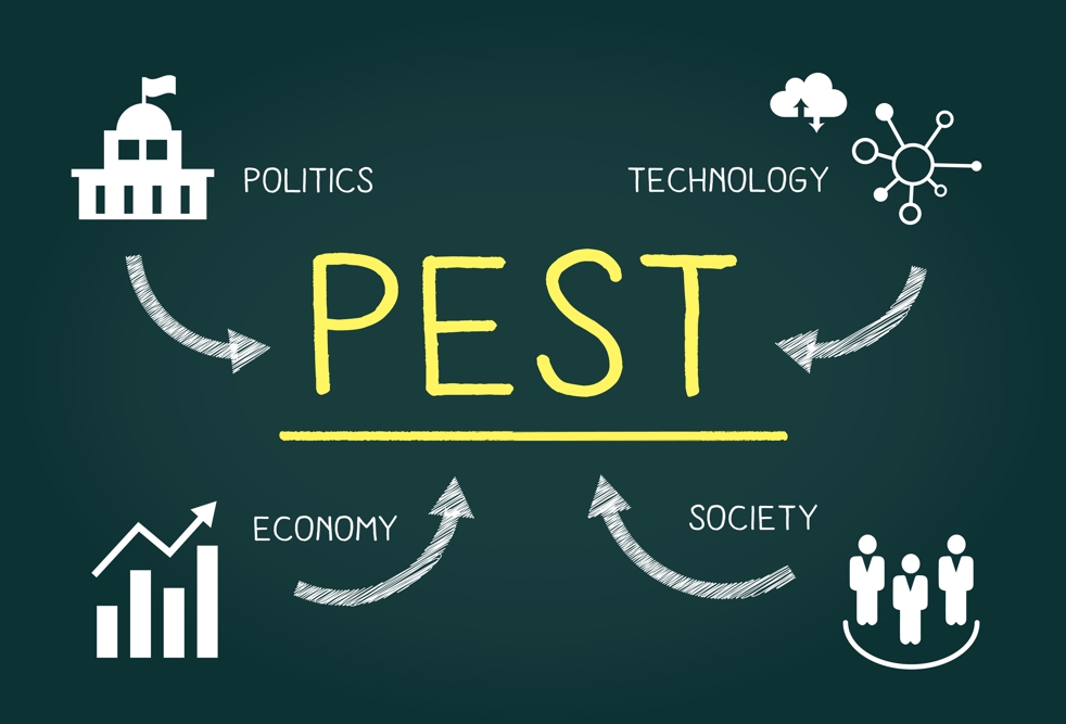 未来を切り拓くビジネス戦略：PEST分析の力