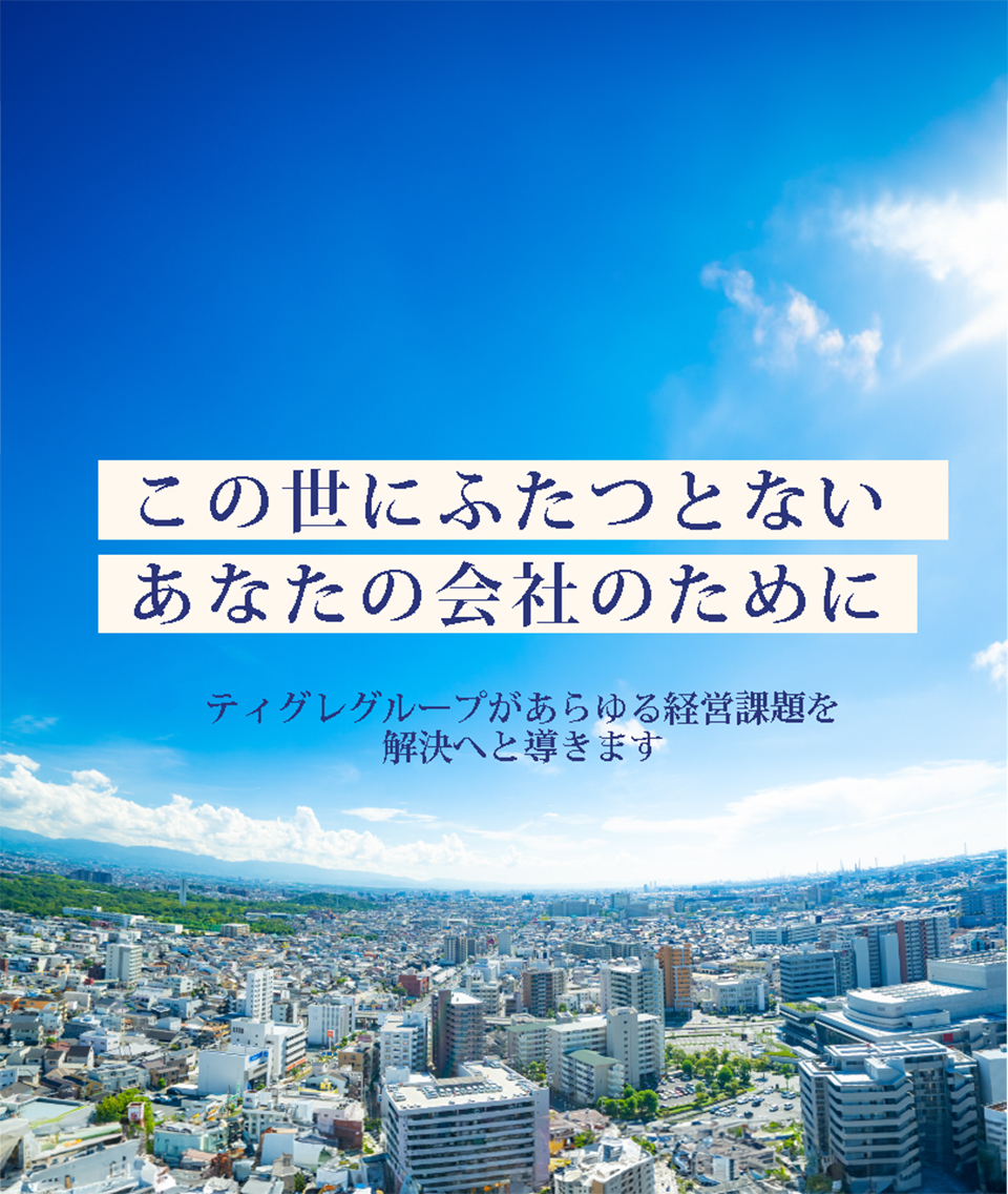 この世に“ふたつとない” あなたの会社のためにティグレグループがあらゆる経営課題を解決へと導きます。