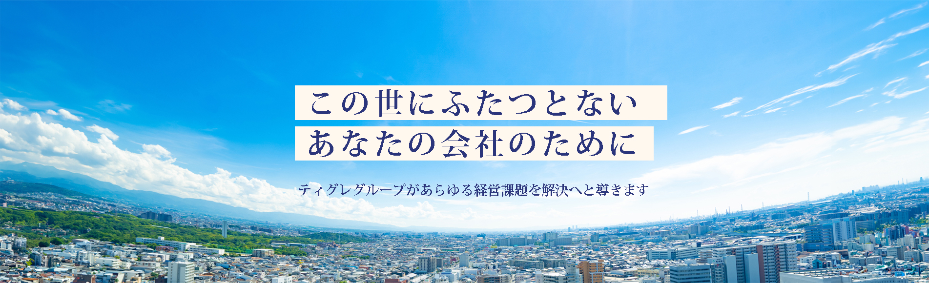 この世に“ふたつとない” あなたの会社のためにティグレグループがあらゆる経営課題を解決へと導きます。