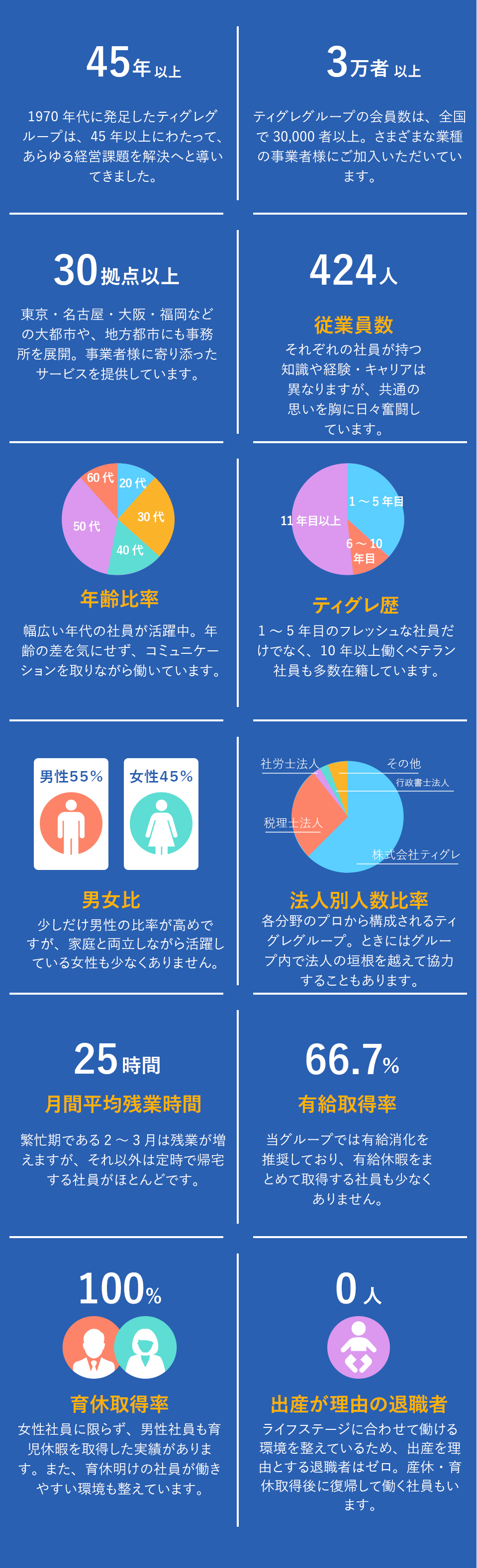 数字で見るティグレ